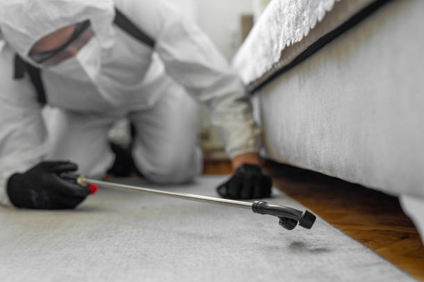 Professional Cockroach Control technician working in Leona Valley, CA